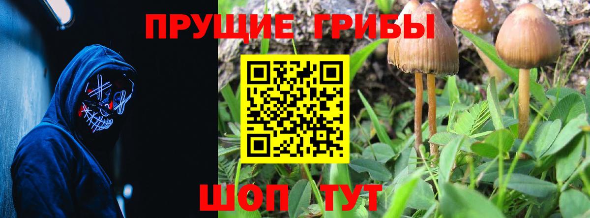 Галлюциногенные грибы MAGIC MUSHROOMS  Вход с VPN  Южно-Сахалинск 